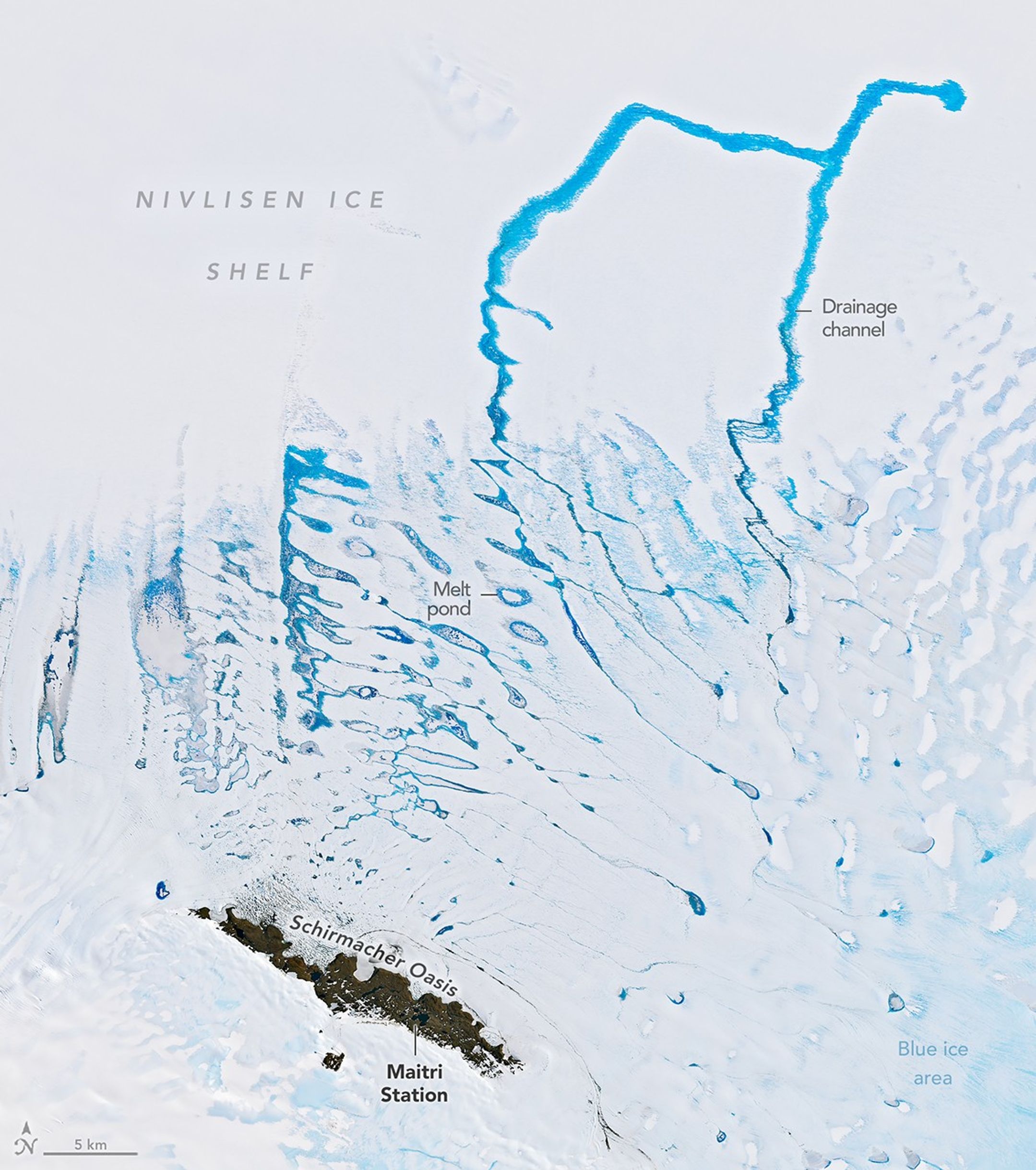 A network of cerulean blue meltwater drainage channels flowing across white and blue ice surfaces. An "oasis" of land appears as a brown rocky area in the lower part of the image.