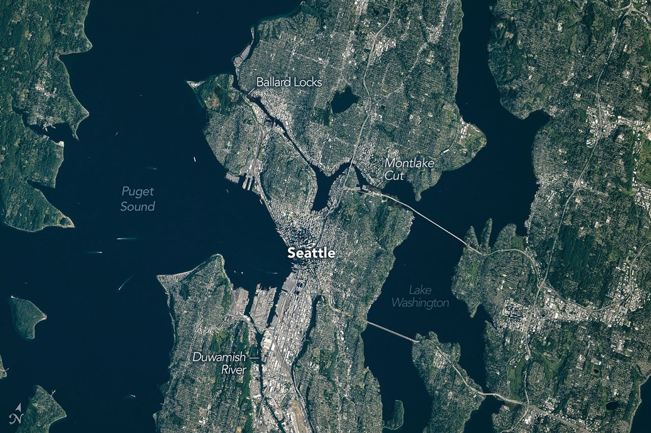 Shaping the Emerald City