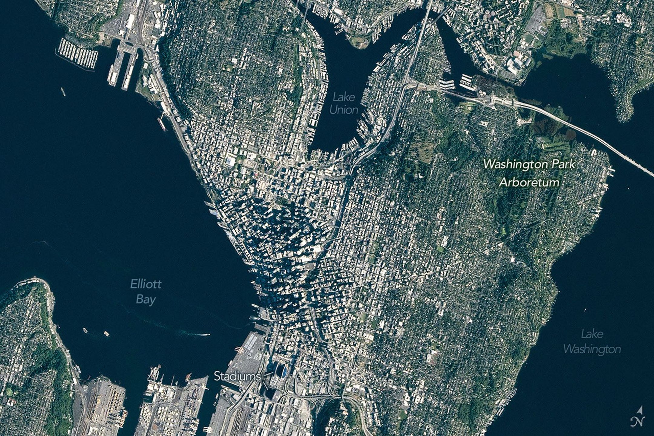 A top-down photo focuses on downtown Seattle, where tall buildings cast long shadows. Green neighborhoods and parks surround the dense urban development, and large waterbodies lie to the east and west.