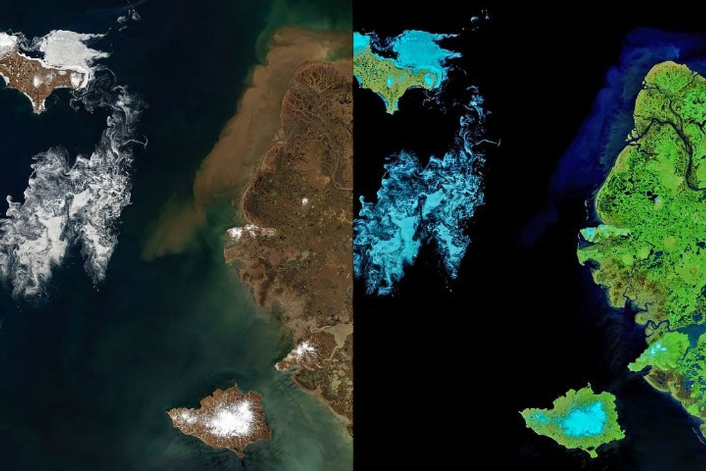 Signs of Thaw in the Bering Sea