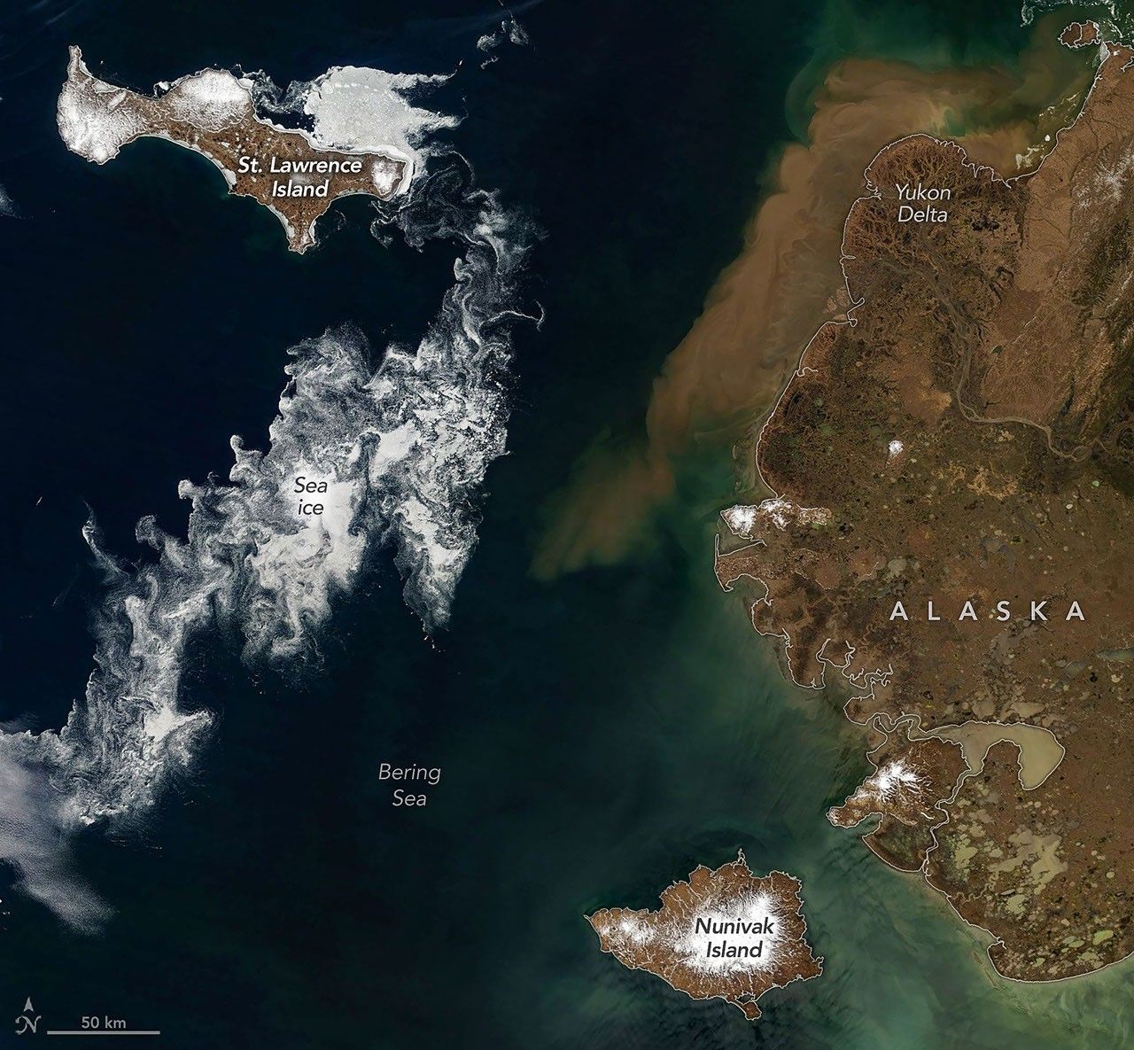 Signs of Thaw in the Bering Sea