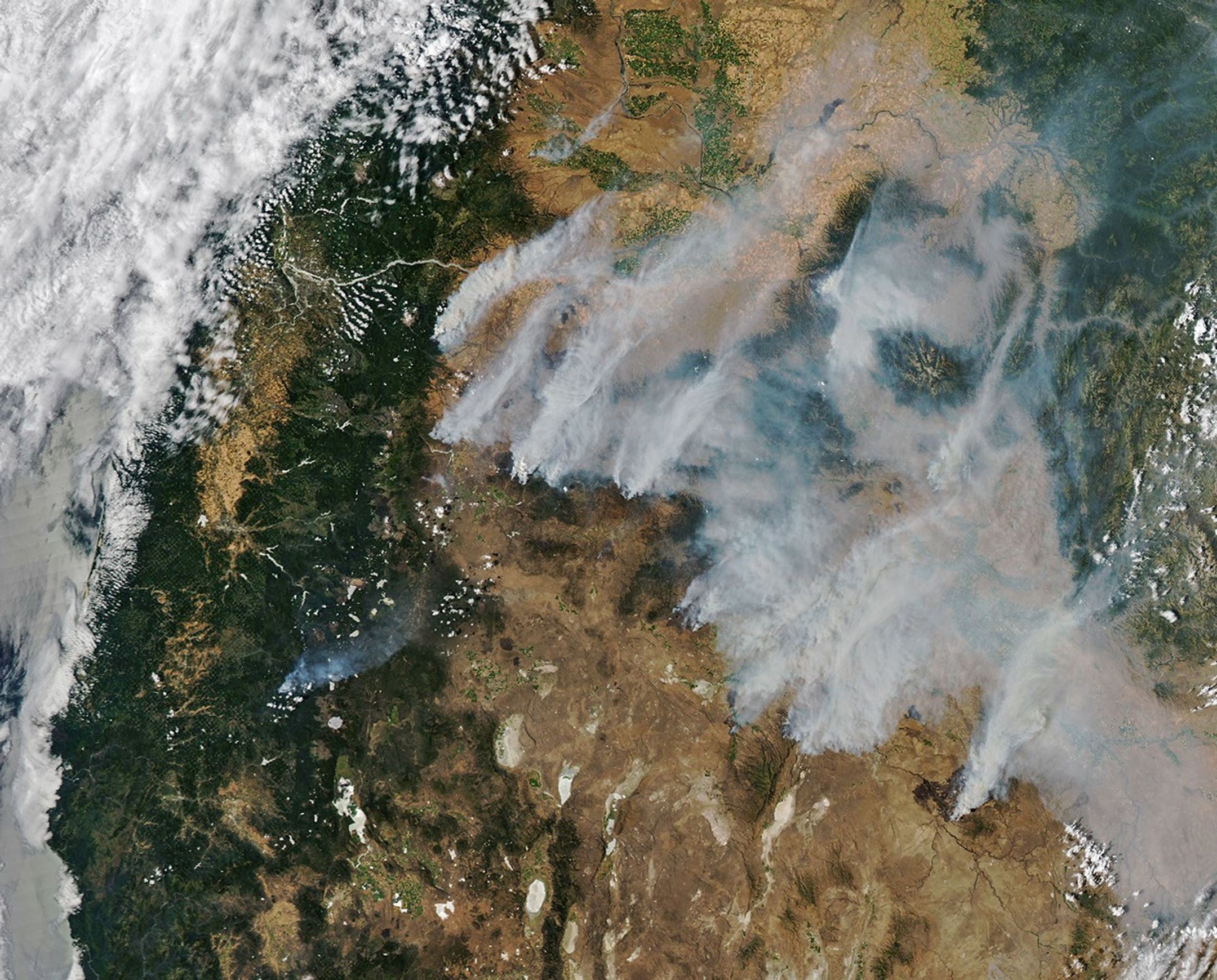 Long plumes of gray wildfire smoke stream northeast from a line of fires in central and eastern Oregon, including the Beachcomb, Shingle, and Second Flat fires that threatened communities.