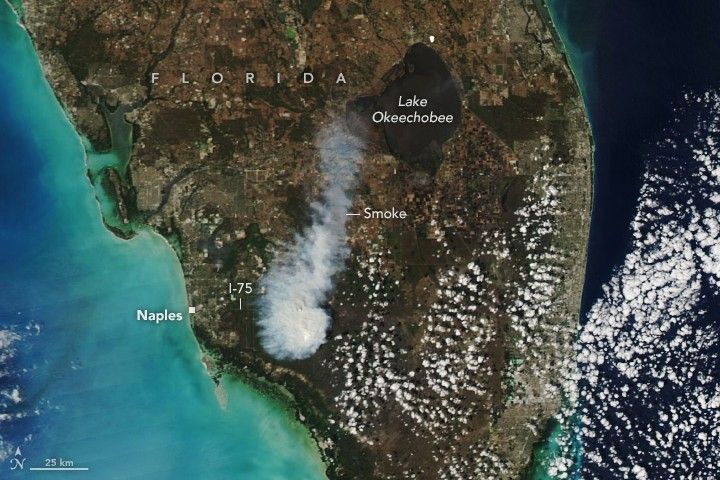 A satellite image of southern Florida shows white-gray smoke east of the coastal city of Naples. Winds carry the plume northward toward Lake Okeechobee.