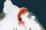 An animation of part of an island in the Svalbard archipelago shows ice-covered terrain centered on a glacier that flows toward the dark blue Barents Sea at the top. Shades of red along the glacier appear to pulse from light to dark, indicating seasonal changes in the glacier’s speed—slower in winter and spring and faster in summer.