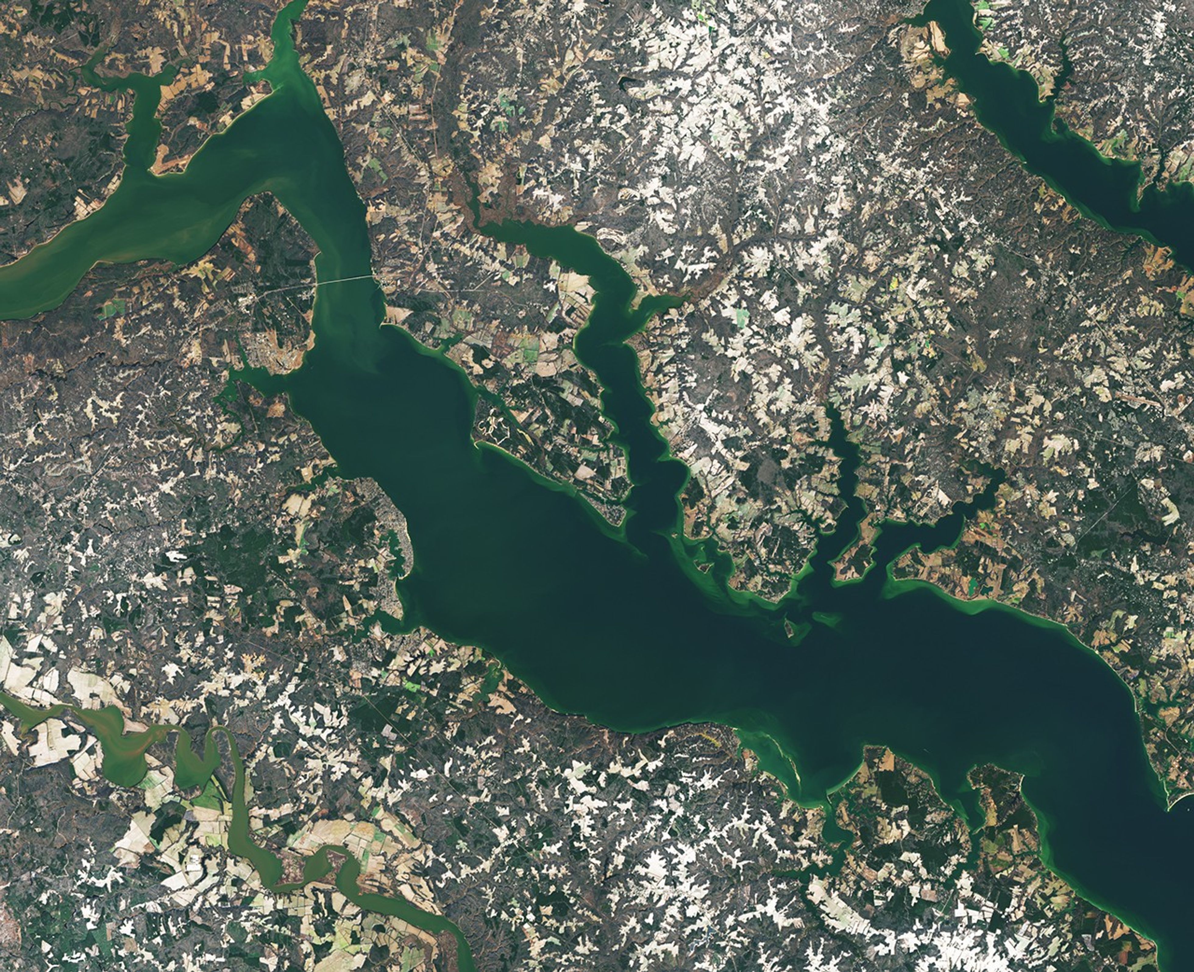 A satellite image centered on the area George Washington was born features a dusting of white snow on farmland, shallow tidal streams along the Potomac River, and green patches of forest.
