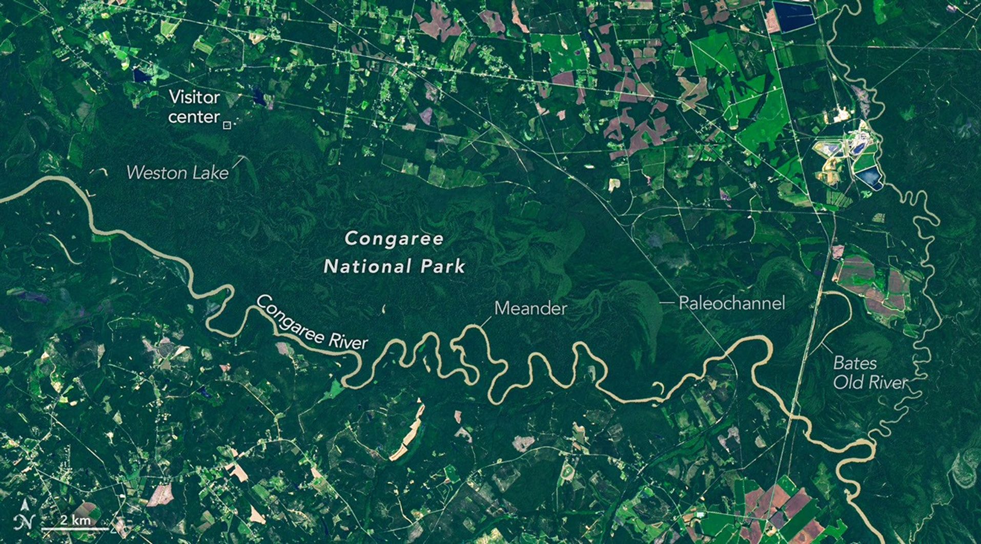 The Forested Floodplains of Congaree National Park
