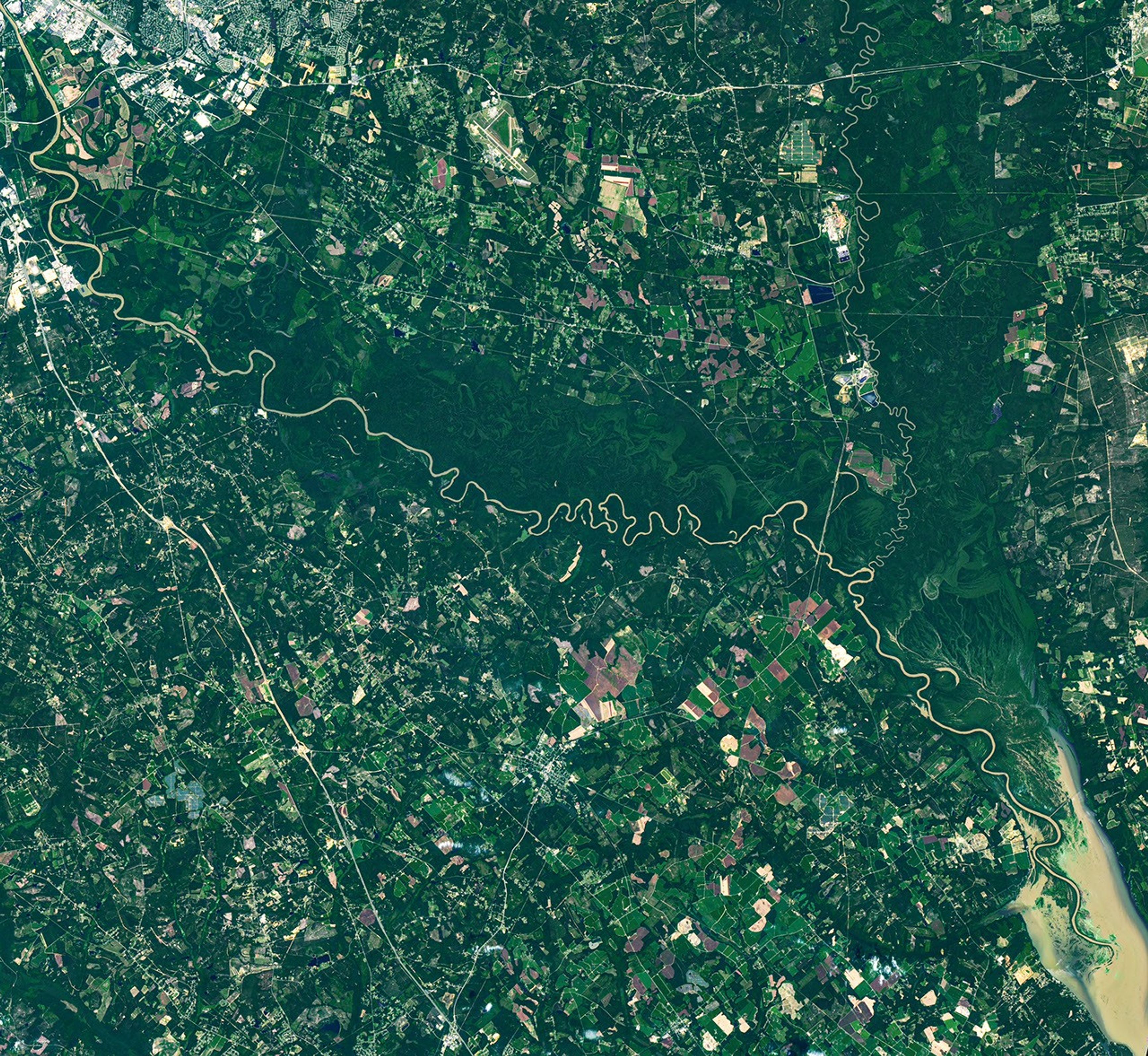 A brown, meandering river cuts through a band of dark green forest in Congaree National Park. Labels point out an oxbow lake and meander in the river. Former river channels called paleochannels appear lighter green than other forested areas.