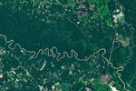 A brown, meandering river cuts through a band of dark green forest in Congaree National Park. Labels point out an oxbow lake and meander in the river. Former river channels called paleochannels appear lighter green than other forested areas.