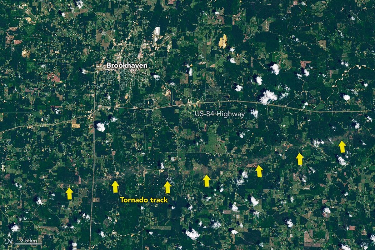 Tornado Draws a Jagged Line in Mississippi - NASA Science