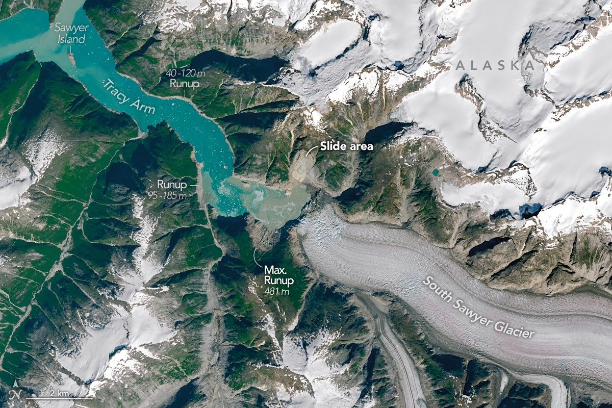 Satellite view of a fjord with a glacier occupying the right half and open water on the left. The glacier’s front has retreated, and brown has replaced previously green areas on land where a tsunami stripped away the vegetation.