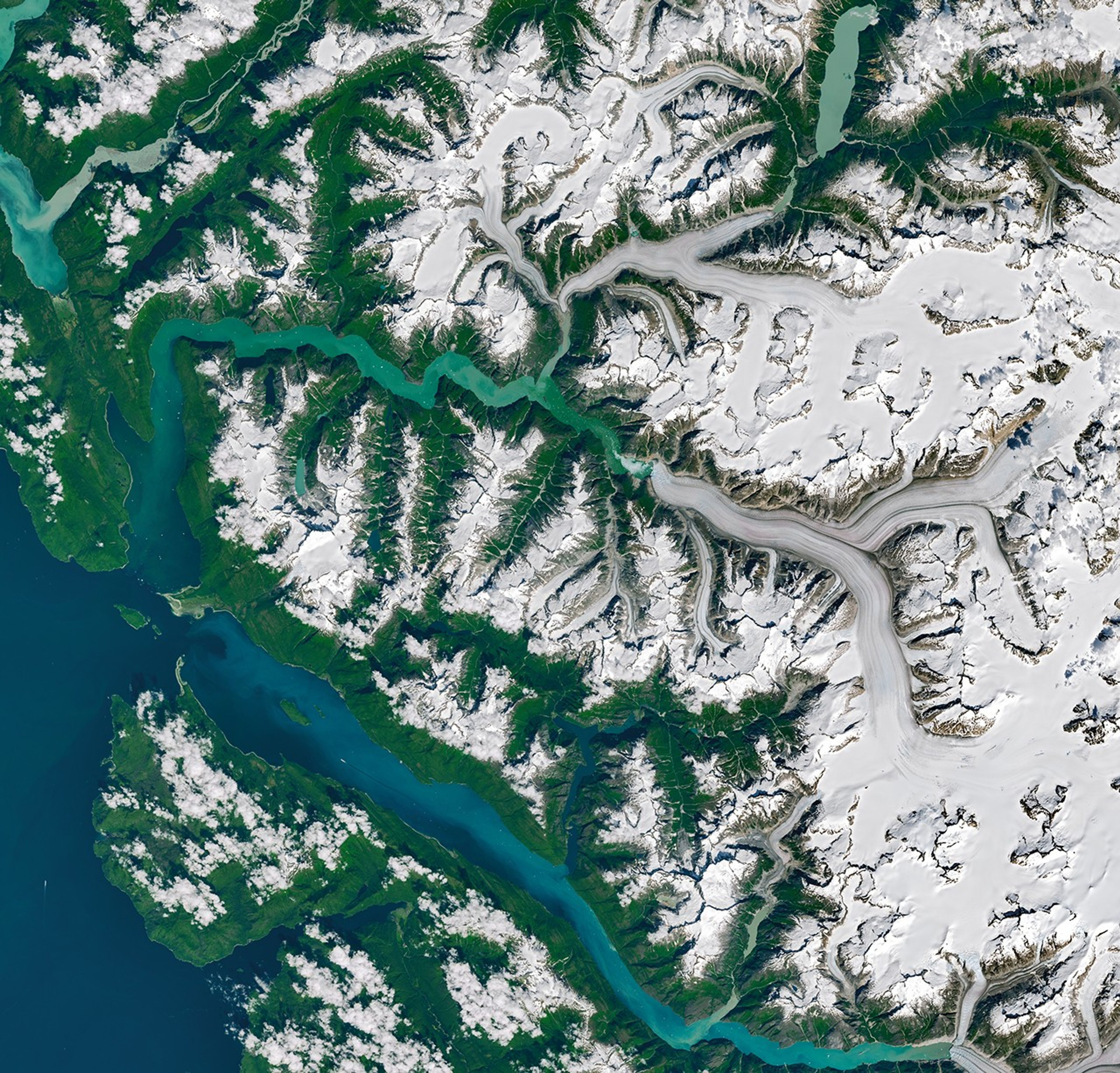 A satellite view shows Tracy Arm, centered, in context with other nearby waterways and glaciers in southeast Alaska.