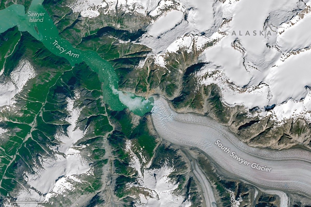 Satellite view of a fjord with a glacier occupying the right half and open water on the left. Much of the fjord valley walls are covered with exposed rock and green vegetation.