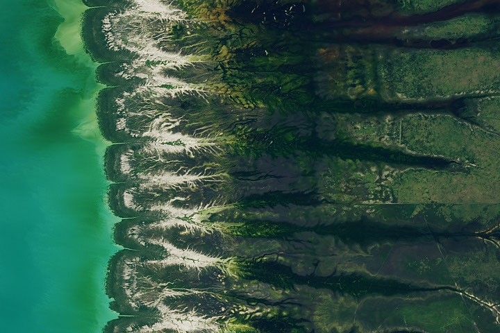 A landform displays various shades of green interspersed with several especially dark channels toward the right and light brown patches toward the left.