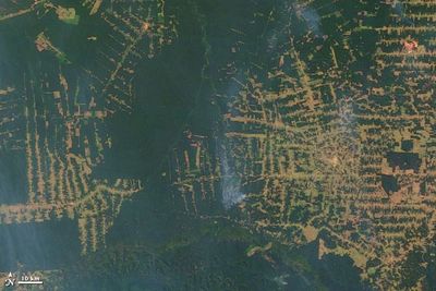 World of Change: Amazon Deforestation - NASA Science