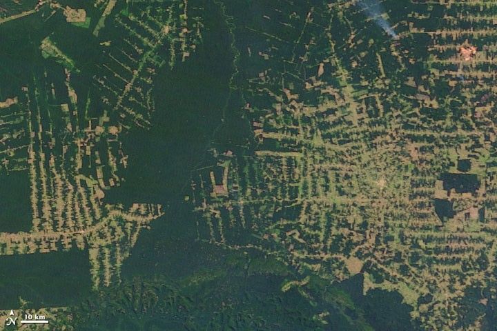 2005