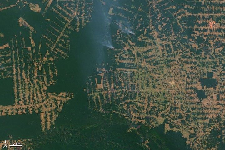 2007