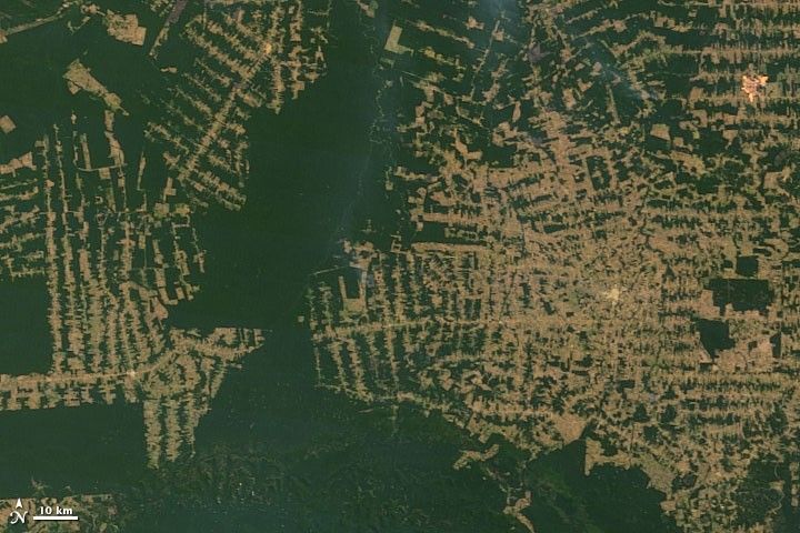 2010