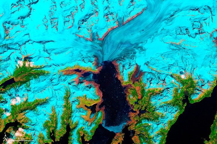 2006