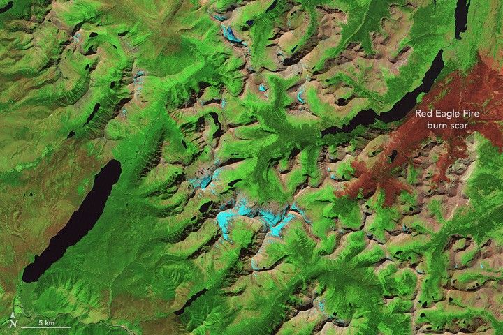 2006