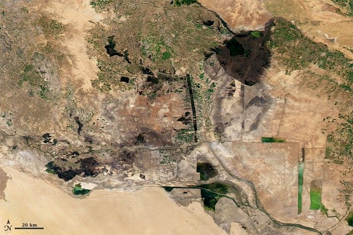 2010
