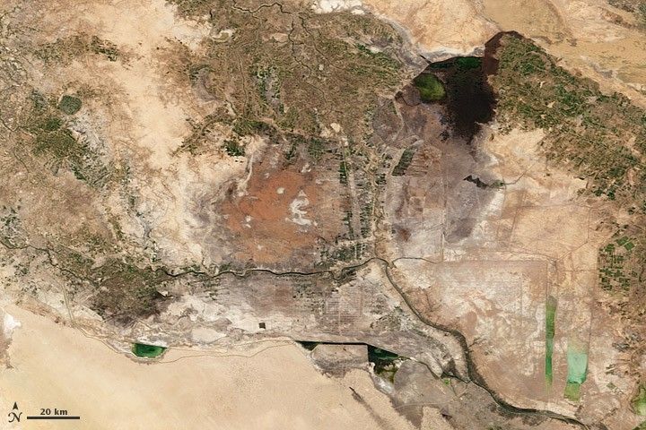 2003
