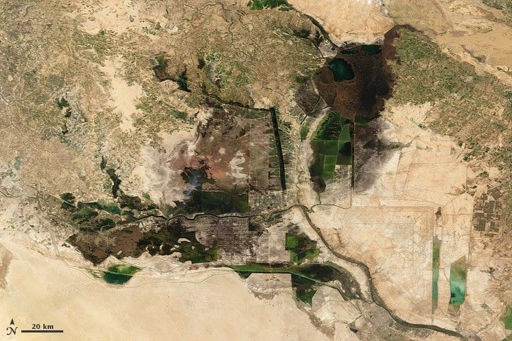 2005