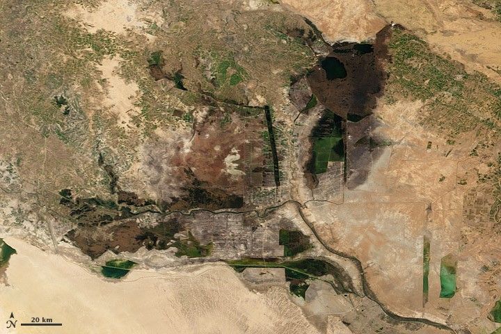 2006