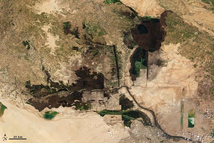 2007