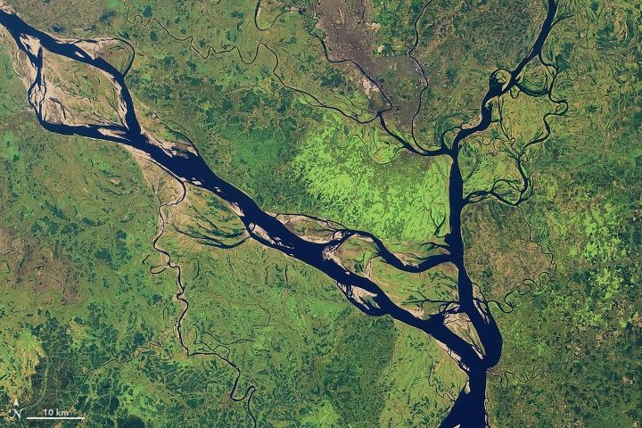 2006