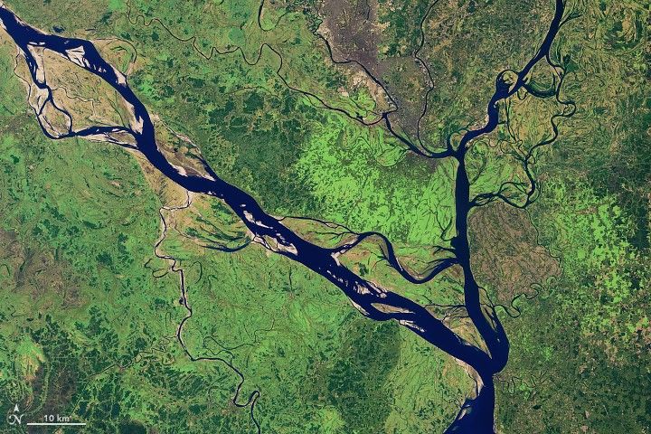 2010