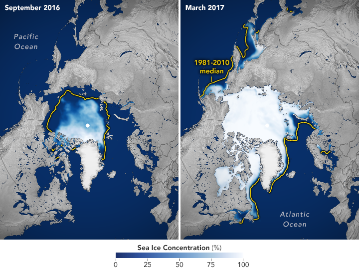 2016-2017