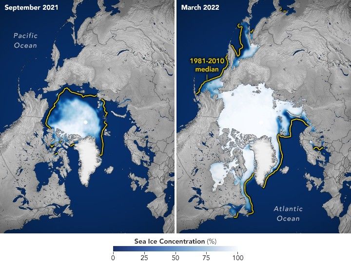 2021-2022
