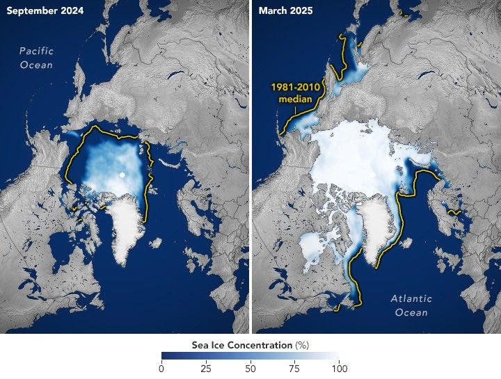 Arctic Sea Ice image pair showing 2024-2025