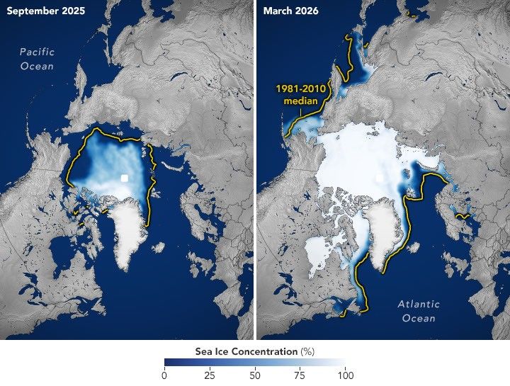 Arctic Sea Ice image pair showing 2025-2026