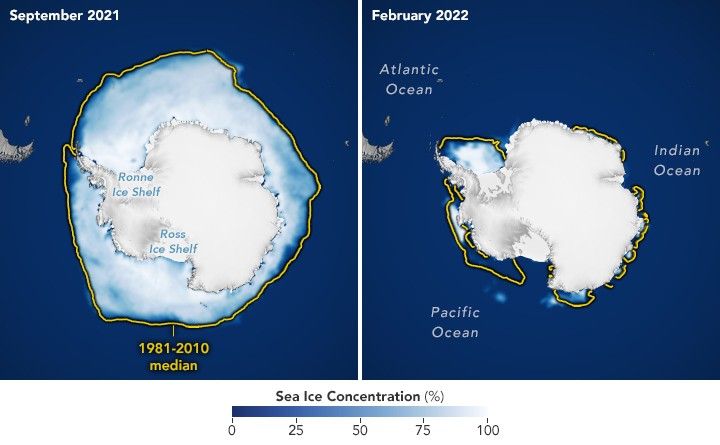 2021-2022