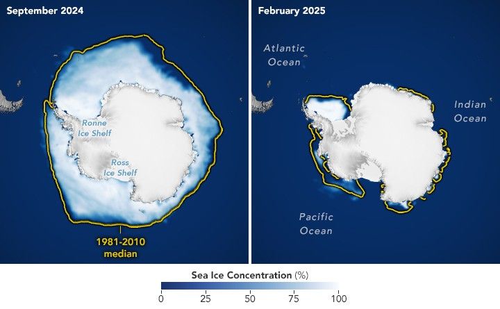 2024-2025