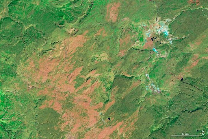 Image of burn recovery in Yellowstone National Park from September 24, 2011