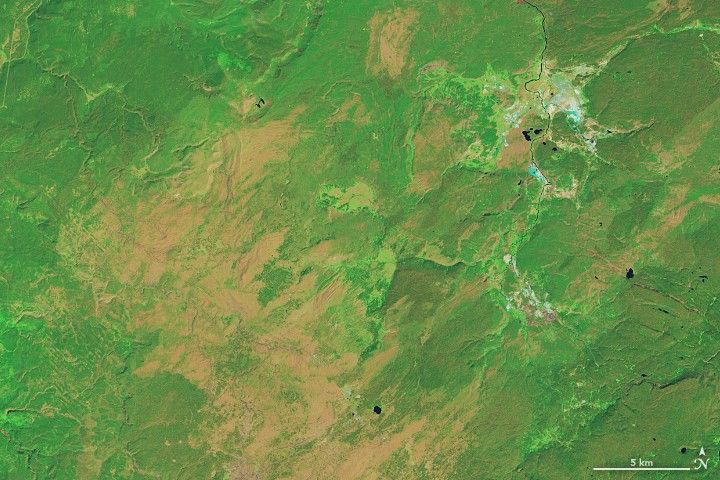 Image of burn recovery in Yellowstone National Park from August 10, 2018