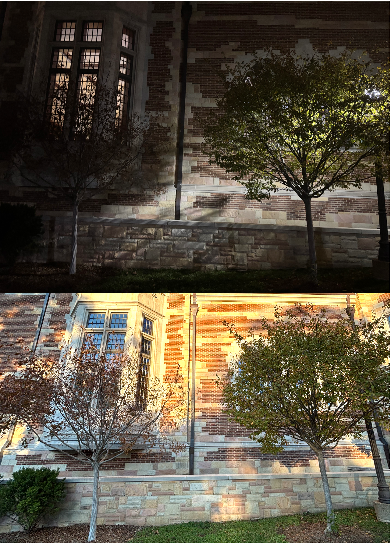 NASA Satellites Show Where Outdoor Lights Worsen Allergy Season