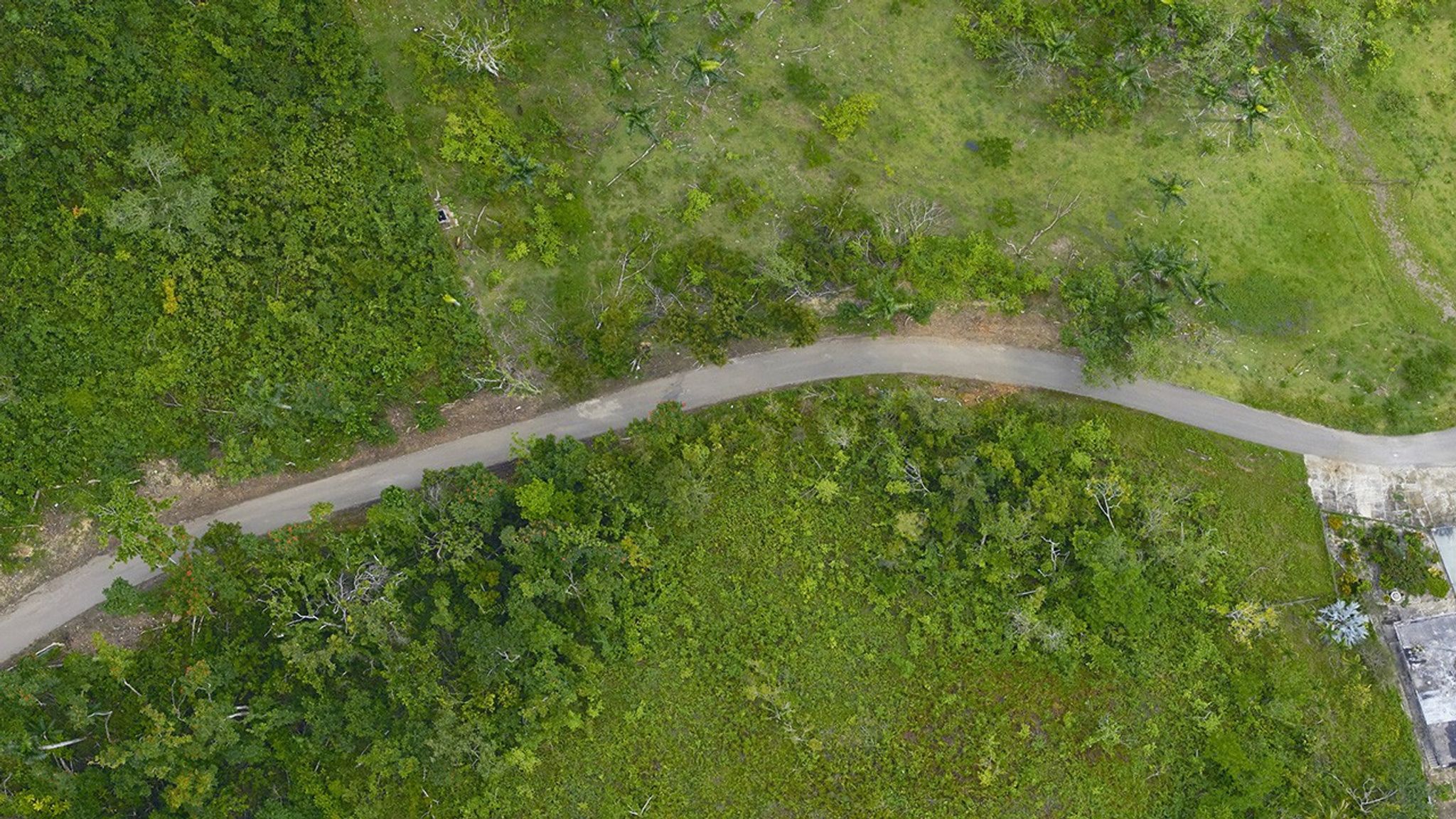 These images show Hurricane Maria’s impact on a section of forest near Arecibo, Puerto Rico, in September 2017. As described by one of the NASA scientists who surveyed damage to the island’s forests, “The dense, interlocking canopies that blanketed the island before the storm were reduced to a tangle of downed trees and isolated survivors, stripped of their branches.” The U.S. Forest Service, U.S. Fish and Wildlife Service, Federal Emergency Management Agency and NASA funded the study. The 2017 image, taken before the hurricane struck, was part of a study of the regrowth of tropical forests on abandoned agricultural land. Images taken by the airborne G-LiHT (Goddard’s Lidar, Hyperspectral and Thermal Imager) team. Source: NASA Hurricanes website