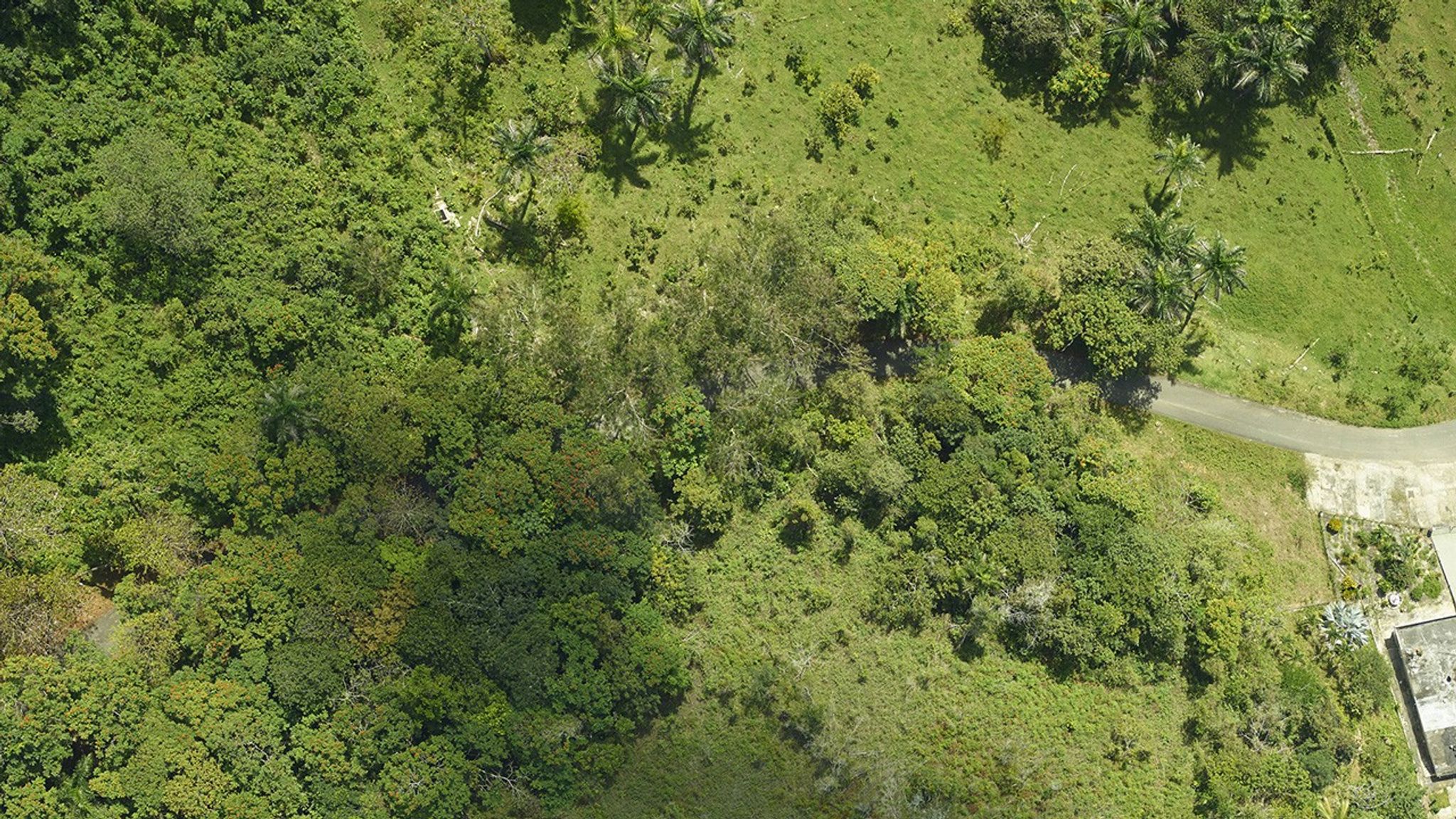 These images show Hurricane Maria’s impact on a section of forest near Arecibo, Puerto Rico, in September 2017. As described by one of the NASA scientists who surveyed damage to the island’s forests, “The dense, interlocking canopies that blanketed the island before the storm were reduced to a tangle of downed trees and isolated survivors, stripped of their branches.” The U.S. Forest Service, U.S. Fish and Wildlife Service, Federal Emergency Management Agency and NASA funded the study. The 2017 image, taken before the hurricane struck, was part of a study of the regrowth of tropical forests on abandoned agricultural land. Images taken by the airborne G-LiHT (Goddard’s Lidar, Hyperspectral and Thermal Imager) team. Source: NASA Hurricanes website