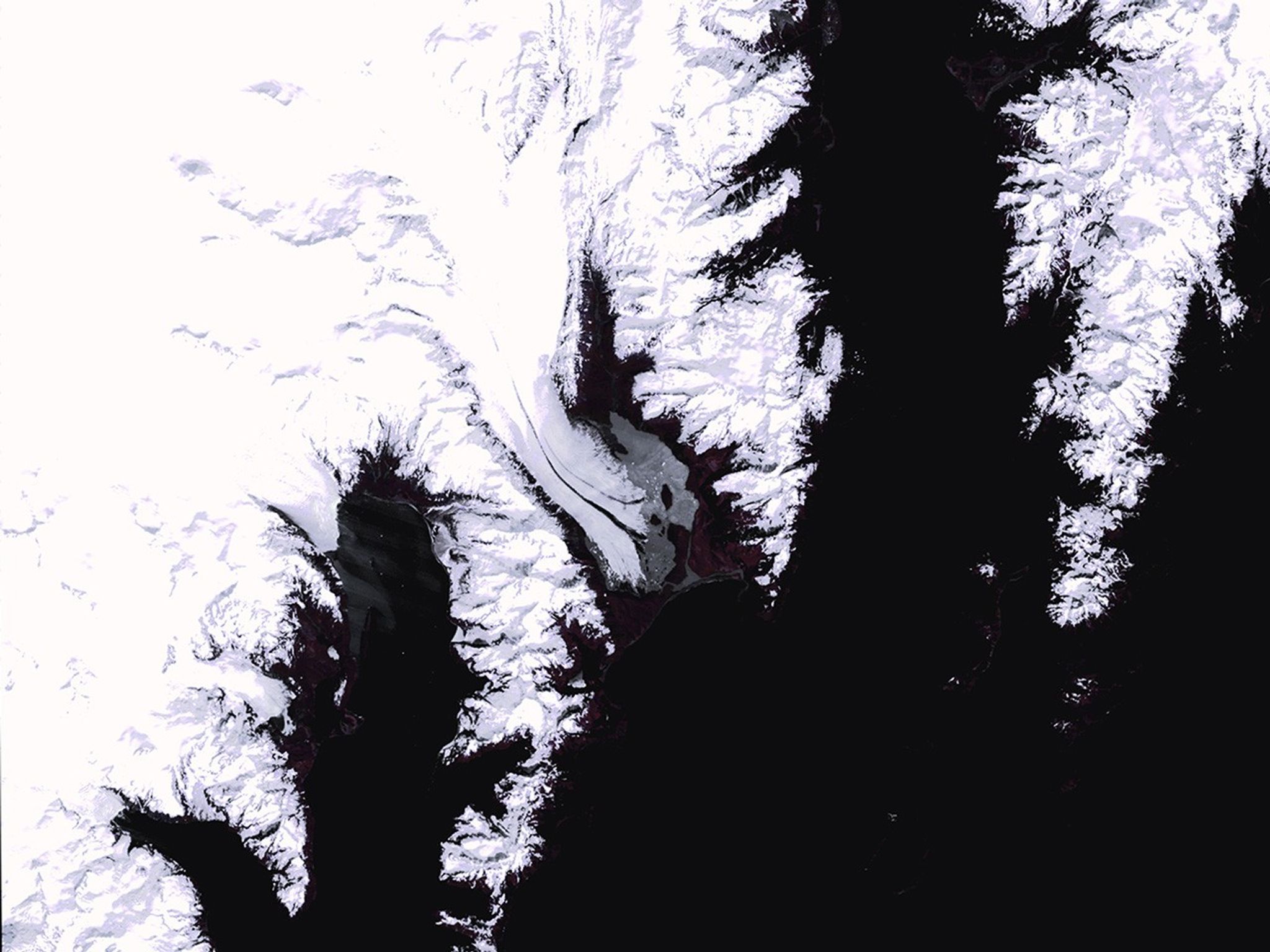 This series of images shows the shrinkage of Bear Glacier from 1980 to 2011. Warming in the region has caused less buildup of snow and therefore less material for glacial growth. As the glacier has receded, ice at the end of the glacier has broken off the main body, forming icebergs in the open water. The 2011 image shows considerable retreat of the glacier's "tongue." Also see this image pair of the same glacier. Left image taken by the Multispectral Scanner onboard Landsat 3. Center image taken by the Thematic Mapper sensor onboard Landsat 4. Right image taken by the Enhanced Thematic Mapper Plus sensor onboard Landsat 7. Source: U.S. Geological Survey (USGS) Landsat Missions Gallery, "Bear Glacier, Alaska," U.S. Department of the Interior / USGS and NASA.
