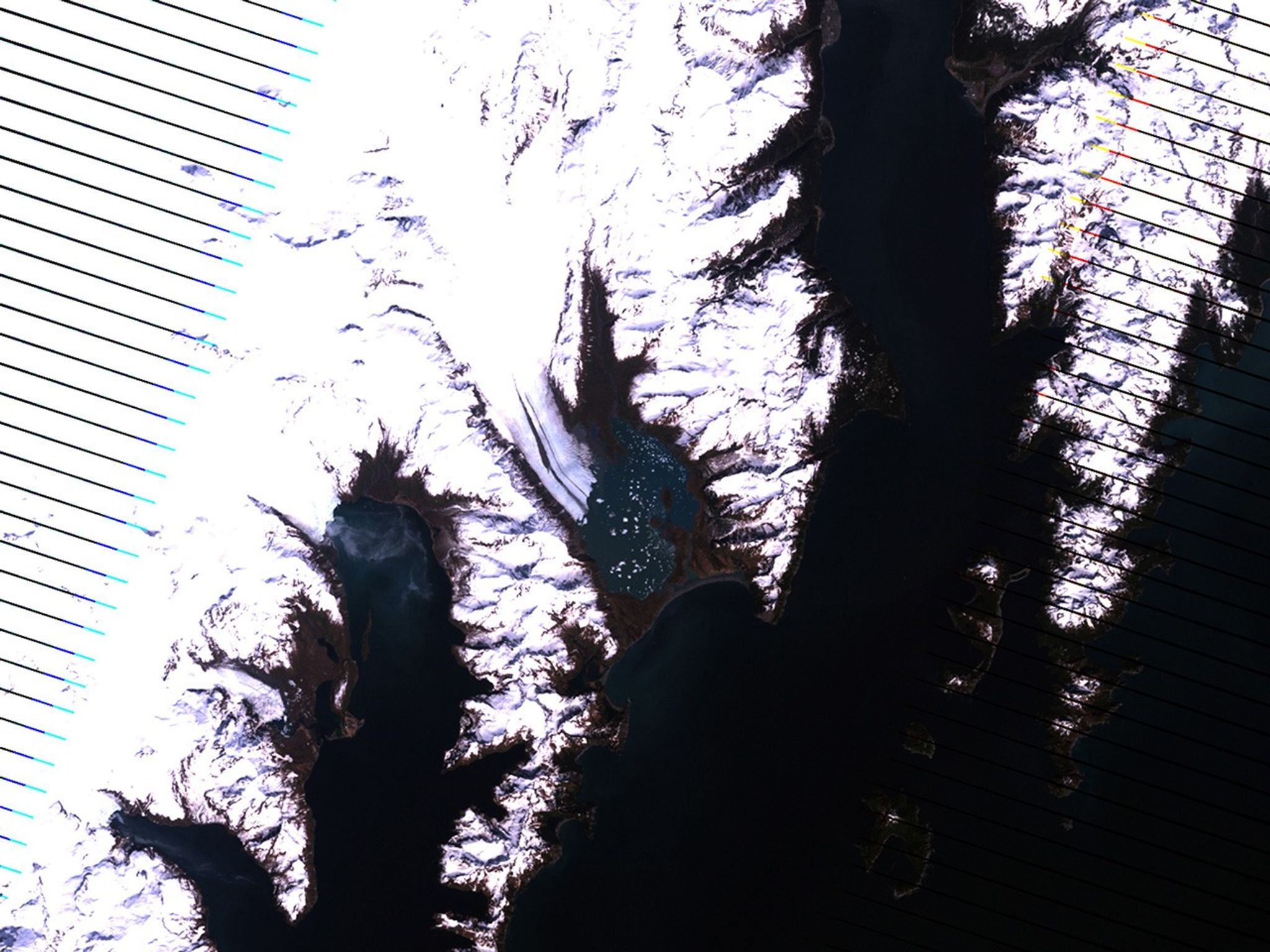 This series of images shows the shrinkage of Bear Glacier from 1980 to 2011. Warming in the region has caused less buildup of snow and therefore less material for glacial growth. As the glacier has receded, ice at the end of the glacier has broken off the main body, forming icebergs in the open water. The 2011 image shows considerable retreat of the glacier's "tongue." Also see this image pair of the same glacier. Left image taken by the Multispectral Scanner onboard Landsat 3. Center image taken by the Thematic Mapper sensor onboard Landsat 4. Right image taken by the Enhanced Thematic Mapper Plus sensor onboard Landsat 7. Source: U.S. Geological Survey (USGS) Landsat Missions Gallery, "Bear Glacier, Alaska," U.S. Department of the Interior / USGS and NASA.