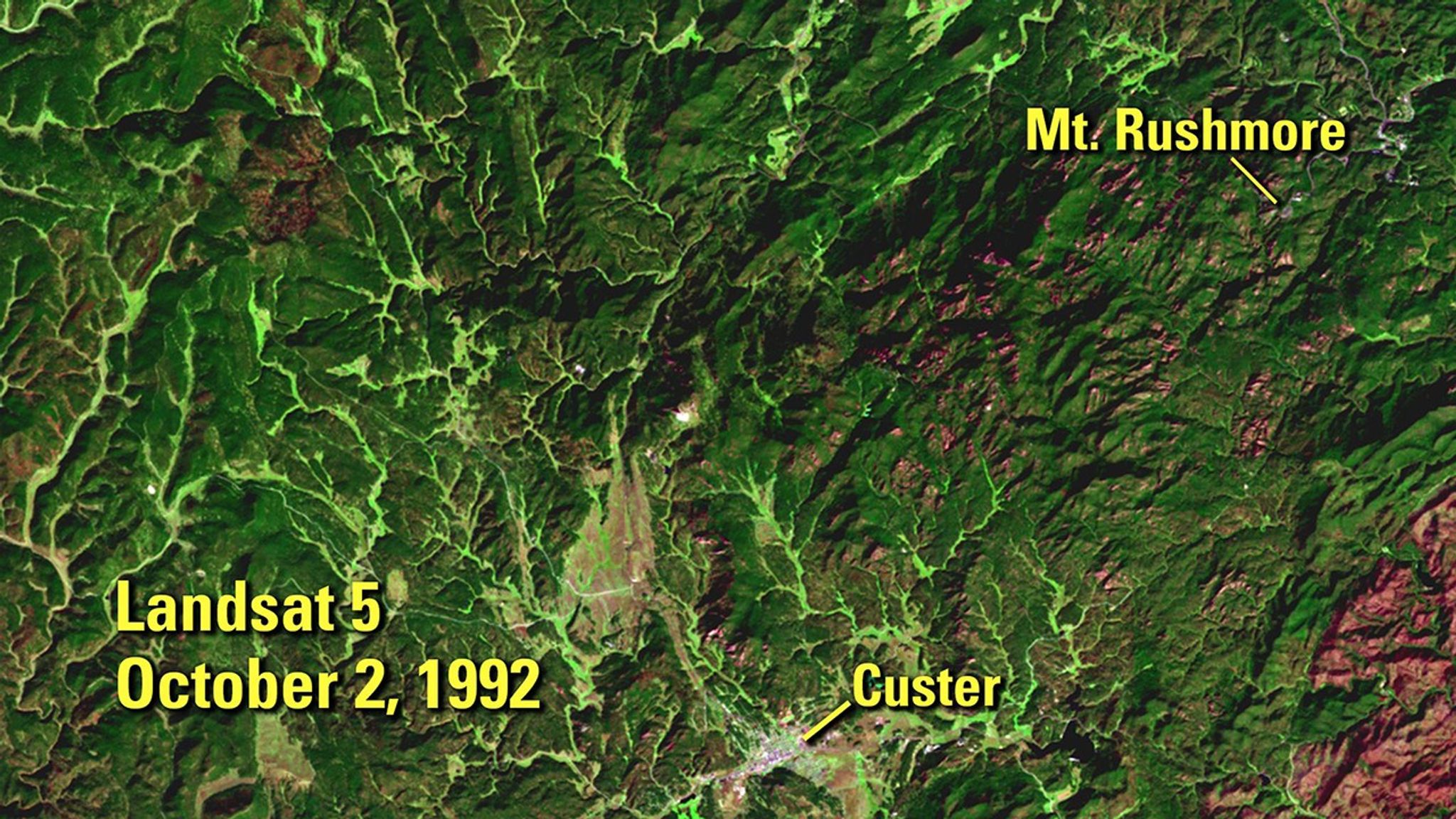These false-color images contrast a section of pine forest in the Black Hills of South Dakota before and after an epidemic of mountain pine beetles. Cold winters normally kill beetle eggs and keep the population down, but recent winters were warmer than usual so the number of beetles rose dramatically. The trees on which they preyed had been weakened by prolonged dry conditions in the early 2000s, increasing their vulnerability. Patches of dead trees appear reddish in the 2018 image. The reddish patch at the lower right of the 1992 image is a burn scar from the Galena Fire of 1988. A similar patch on the left of the 2018 image is a burn scar from 2000’s Jasper Fire. Image from 1992 taken by Landsat 5. Image from 2018 taken by Landsat 8. Source: U.S. Geological Survey’s National Land Imaging Image Collections