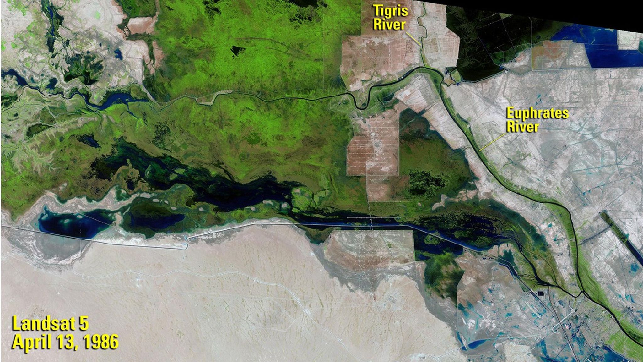 UNESCO declared southern Iraq’s marshes (“al-Ahwar” in Arabic) a World Heritage Site in 2016, citing their biodiversity and contribution to ancient Mesopotamian societies. The organization says the marshlands covered some 8,000 square miles (20,000 square kilometers) until the 1970s. The 1986 image shows that as of that year, lush vegetation remained on both sides of the Euphrates River. But government projects choked off the area’s water, and by 2001, the wetlands were reduced to a few hundred square miles. With subsequent restoration efforts, they have been making a slow recovery. The 1986 image was taken by Landsat 5. The 2019 image was taken by Landsat 8. Source: U.S. Geological Survey’s National Land Imaging Image Collections and UNESCO.