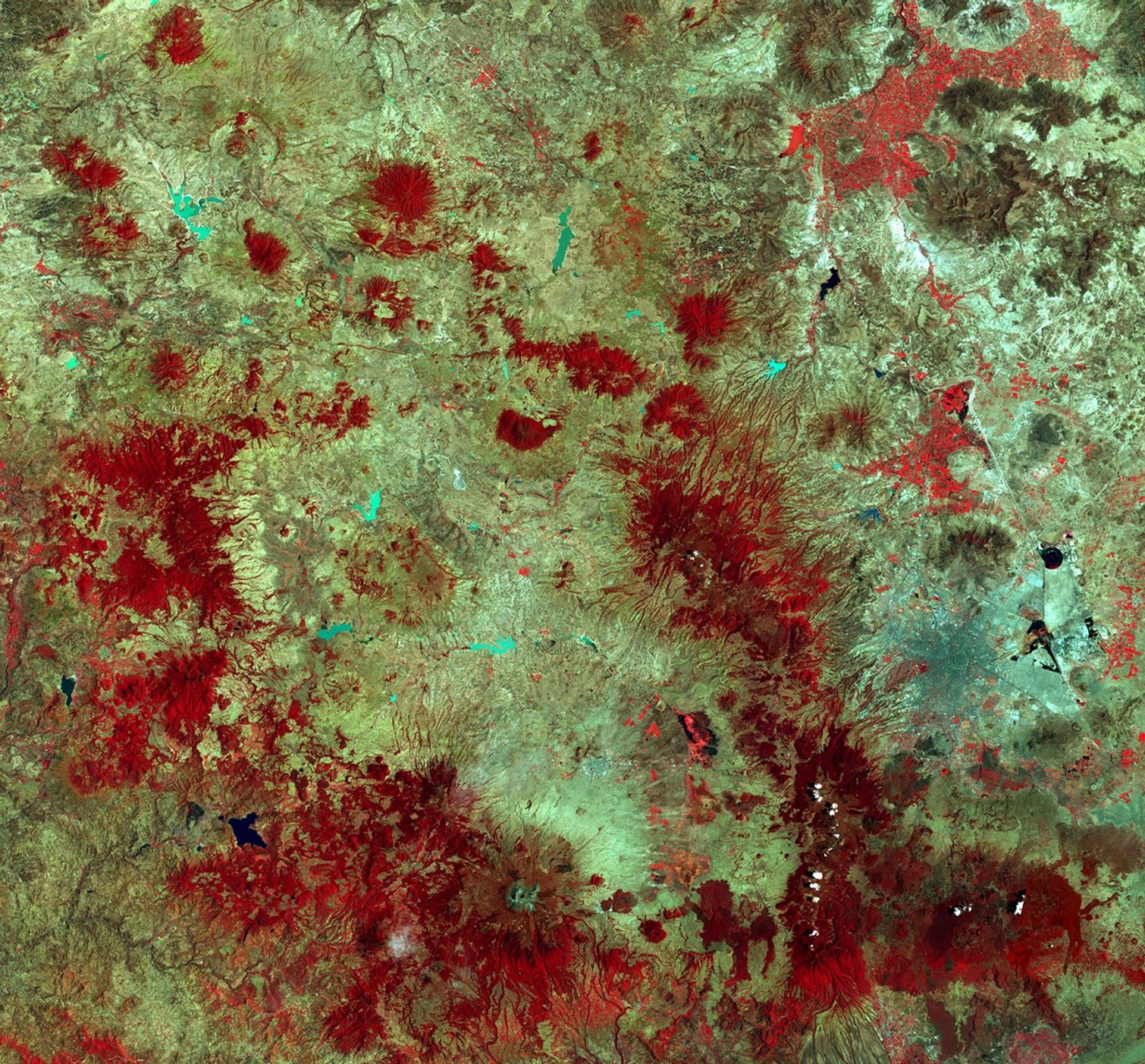 These images show a mountainous region of central Mexico near the town of Angangueo. Mexico City lies in the eastern part of each picture. Red areas show fir trees found on only about 40 to 50 thousand acres in Mexico. Monarch butterflies need thick forests of these trees for protection from the elements and predators after the long migration from the eastern U.S. and southern Canada. But many people who live along this area depend on the land for subsistence through farming, grazing and woodcutting, and the forest is being thinned despite the Mexican government having declared a number of reserves here for the Monarchs.   1973 image taken by the Multispectral Scanner onboard Landsat 1. 2000 image taken by the Enhanced Thematic Mapper Plus sensor onboard Landsat 7. Source: Earthshots: Satellite Images of Environmental Change, U.S. Geological Survey.