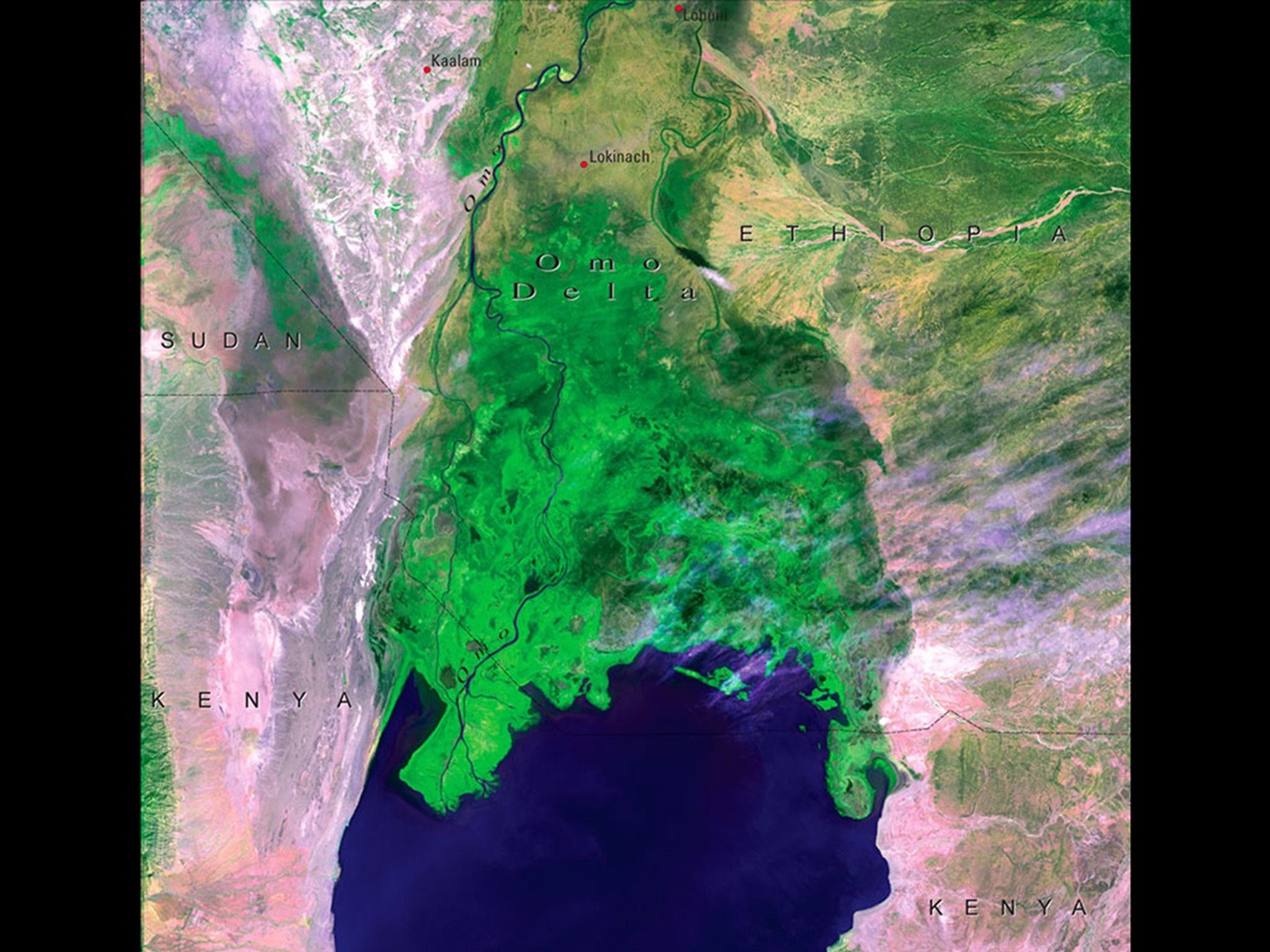 The Omo Delta, at the north end of Lake Turkana, a lake now located mainly in Kenya. In 1973, the delta was contained entirely within the boundaries of Ethiopia. By 2005-2006, the southernmost point of the delta had moved roughly 12 kilometers (7 miles) to the south, and had crossed the Ethiopia-Kenya border. Reduced lake levels — from less rain, more diverted upstream water, and increased evaporation due to higher temperatures — are believed to be the primary cause, with an increase in sediment from agricultural activities also contributing. The expanded delta has provided new land for 20,000 Dassanech people, the area’s traditional inhabitants. But severe flooding in 2006 killed 100 of them and destroyed houses, crops and infrastructure. Source: United Nations Environment Programme (UNEP). From Kenya Atlas of our Changing Environment (2009); Division of Early Warning and Assessment (DEWA), UNEP, Nairobi, Kenya.