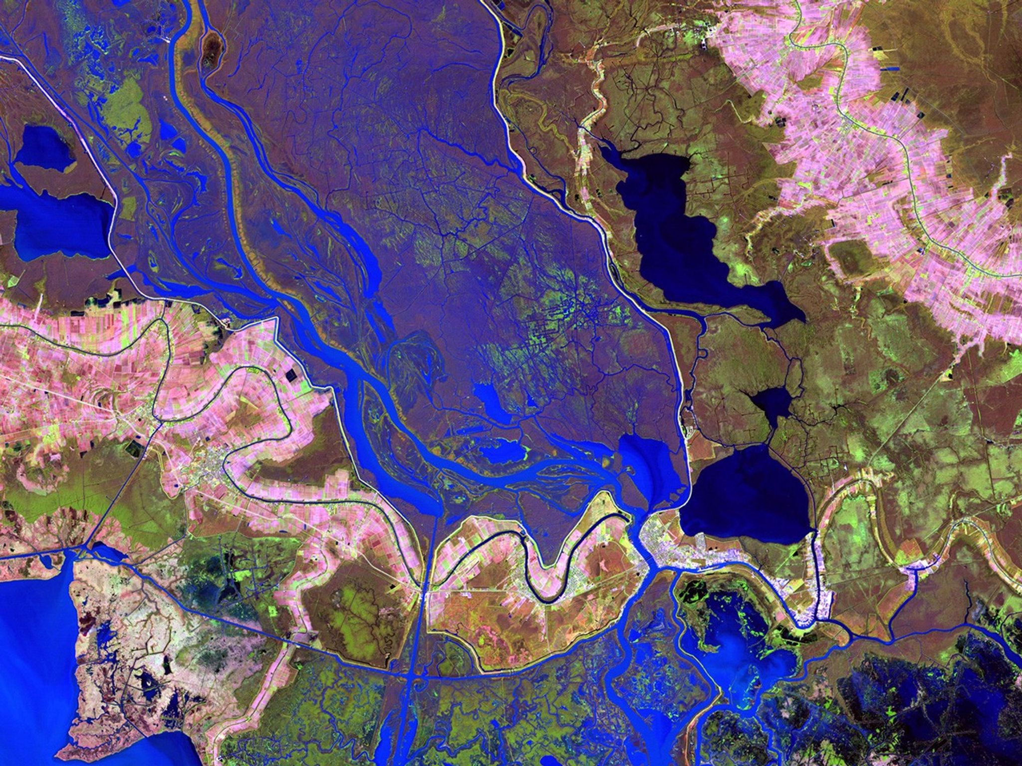 The delta, where the Atchafalaya River flows into the Gulf of Mexico, was formed by sediment following the construction of a canal through Wax Lake in 1941. Since Hurricane Katrina in 2005, the delta has served as a model for restoring wildlife habitat and protection against storm surge in the Mississippi River delta region. Images taken by the Thematic Mapper sensors aboard Landsat 4 and 5. Source: USGS Landsat Missions Gallery, U.S. Department of the Interior / U.S. Geological Survey.