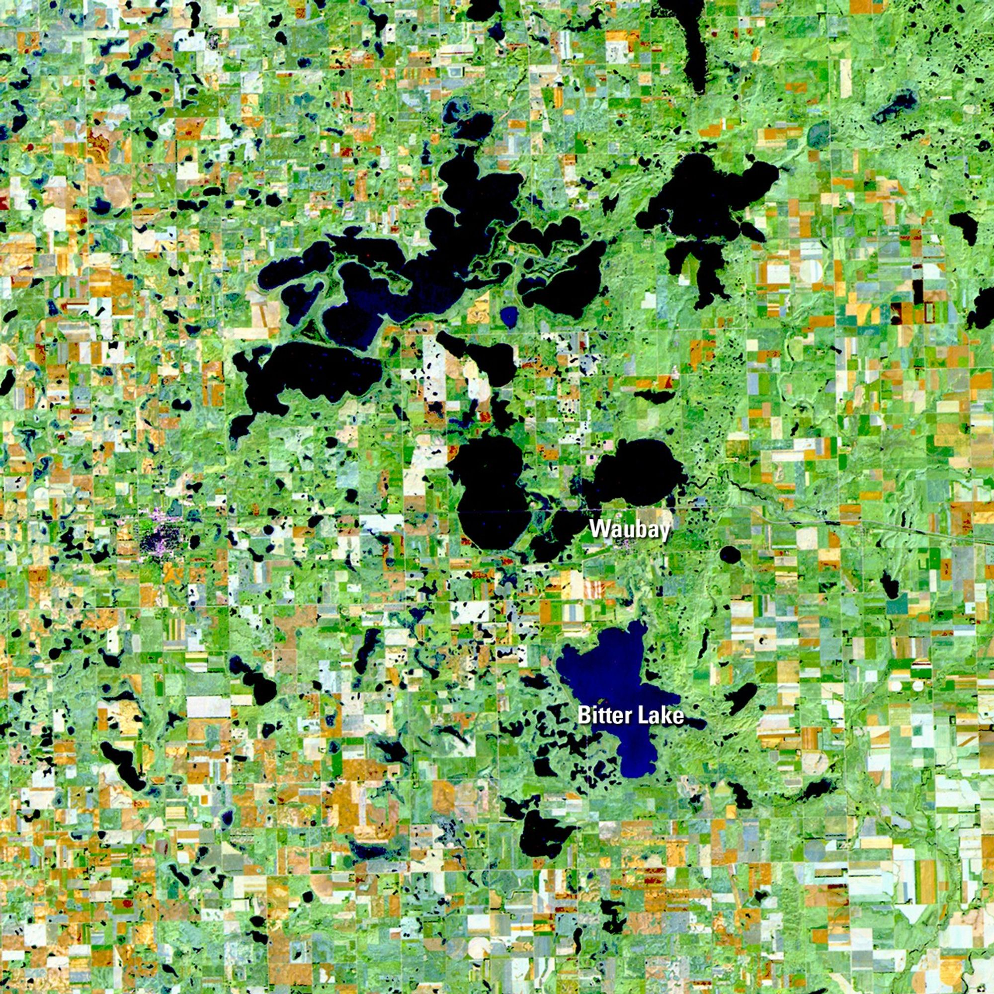 The Coteau des Prairies is a plateau with many small lakes, created from repeated glaciation in northeastern South Dakota. In the past two decades, rising lake waters have been swallowing up farm fields, pasture ranges, roads and homesteads. Bitter Lake is the southern boundary for water flowing from Waubay, Blue Dog, and Rush Lakes from the north, with no established outlet for the water to flow further south. During wet times such as those preceding the 2011 picture, the groundwater levels rise, lake water can't drain into the soil and the area floods. Images taken by the Thematic Mapper sensor onboard Landsat 5. Source: U.S. Geological Survey (USGS) Landsat Missions Gallery, "The Lakes of Eastern Day County, South Dakota," U.S. Department of the Interior / USGS and NASA.