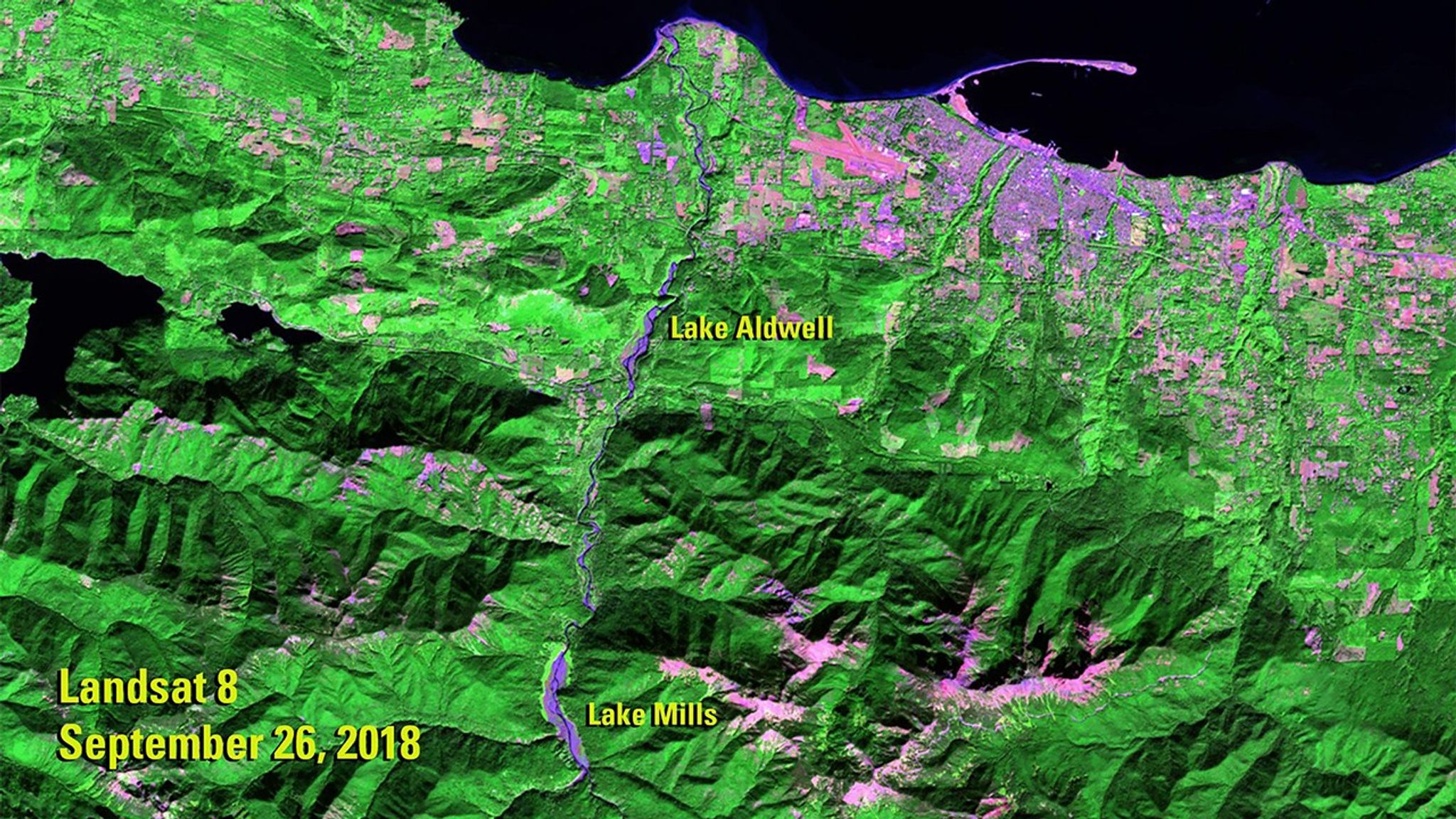 The 2011 image shows the Elwha River, in northwestern Washington state, when it still hosted two dams that were built in the early 1900s: the Glines Canyon Dam, which created the Lake Mills reservoir, and the Elwha Dam, which created the Lake Aldwell reservoir. The dams blocked salmon migration and greatly reduced the amount of sediment flowing to the river’s delta. Following an act of Congress to restore the river’s ecosystem, both dams were removed—the largest such project in U.S. history. The 2018 image shows the river free of the dams, with sediment covering the beds of the former lakes. The 2011 image was taken by Landsat 5. The 2018 image was taken by Landsat 8. Sources: U.S. Geological Survey’s National Land Imaging Image Collections and the National Park Service.